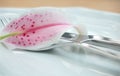 Cutlery on plate with lilium Royalty Free Stock Photo