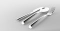 Cutlery silver