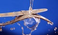 Cutlery under running water. Royalty Free Stock Photo