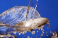 Cutlery under running water. Royalty Free Stock Photo