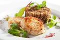 Cutlet with Buckwheat Royalty Free Stock Photo