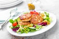 Cutlets and fresh vegetable salad on white plate. Fried meatballs with vegetable salad Royalty Free Stock Photo