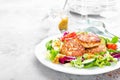 Cutlets and fresh vegetable salad on white plate. Fried meatballs with vegetable salad Royalty Free Stock Photo