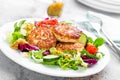 Cutlets and fresh vegetable salad on white plate. Fried meatballs with vegetable salad Royalty Free Stock Photo