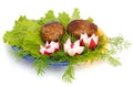 Cutlets and garden radish Royalty Free Stock Photo