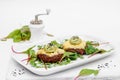 Cutlets on a white plate. Cheese, sauce, greens. White background. Decor. Royalty Free Stock Photo