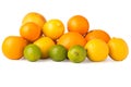 Cutout of a Collection of Citrus Fruits