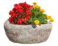 Cutout flowers in pot. Red and yellow flowers