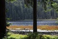 Cutout of the GroÃ¯Â¿Â½er Arbersee with quagmire in the Bavarian Forest Royalty Free Stock Photo