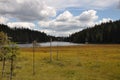 Grosser Arbersee with quagmire in the Bavarian Forest Royalty Free Stock Photo