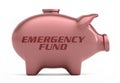 Cut-out object shot of a pink piggy bank with the copy EMERGENCY FUND isolated on a white background.