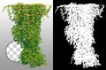 Cutout ivy with lush green foliage Royalty Free Stock Photo