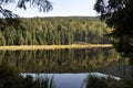 Cutout of the Kleiner Arbersee with quagmire in the Bavarian Forest