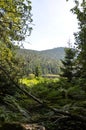 Cutout of the Kleiner Arbersee with view to the GroÃ¯Â¿Â½er Arber