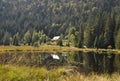 Kleiner Arbersee with view to the SeehÃÂ¤usl