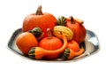 Cutout of pumpkins, ornamental gourds and a delicata squash on a ceramic platter.