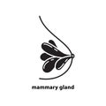 Cutout silhouette mammary gland icon. Outline template for logo for breast cancer. Black and white simple illustration. Flat