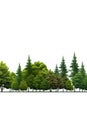 Cutout tree line. A row of green trees and shrubs in summer on a white background