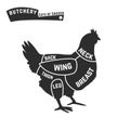 Cuts of chicken butcher diagram