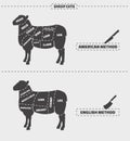 Cuts of lamb meat.