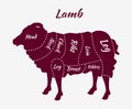 Cuts of Lamb or Mutton Diagram