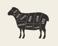 Cuts of meat, lamb. Butcher shop, meat vector illustration