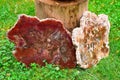 Cuts of polished minerals exposed to the public in the grass, Czech Republic