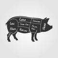 Cuts of pork. Butchery diagram. Silhouette of pig Royalty Free Stock Photo