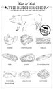 Cuts of pork diagram part of pork cut of meat set. Poster Butcher diagram vintage typographic handdrawn. Vector illustration on