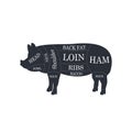 Cuts of pork meat for butchery, meat shop, restaurant, grocery store.Butcher diagram. Vector illustration Royalty Free Stock Photo