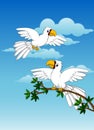 Cutte couuple white parrot flying and sitting on tree