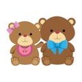 cutte little bears teddies couple