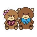 cutte little bears teddies couple