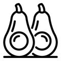 Cutted avocado icon, outline style