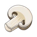 Cutted champignon icon, cartoon style