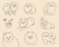 Cutted dog on a white background. Spitz dog breed. Continuous line drawing dog. Silhouettes of dogs in different poses