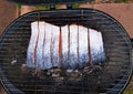 cutted fresh fish on the grill for barbecue on countryside cottage ,steak