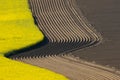 Curved furrows in spring, agrarian ploughed fields beneed a flowering colza or rape field. Plowed fields. Royalty Free Stock Photo