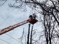 Cutted off branch flies down, and aerial platform with workers on background of electrical wires. Spring-autumn-winter background