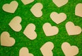 Cutted paper hearts on the grass