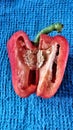Cutted red pepper Royalty Free Stock Photo