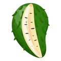 Cutted soursop icon cartoon vector. Food fruit