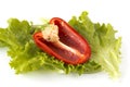 Cutted sweet red pepper on salad leaves Royalty Free Stock Photo