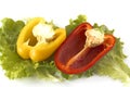 Cutted sweet yellow and red peppers on salad leaves Royalty Free Stock Photo