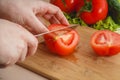 Cutted tomato, cucumber vegetable and salad. Health care food. Royalty Free Stock Photo