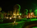 Egypt Tropical Green Garden