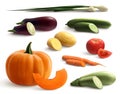 Cutted Vegetables Realistic Set