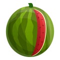 Cutted watermelon icon, cartoon style Royalty Free Stock Photo