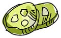 Cutten cucumber, illustration, vector
