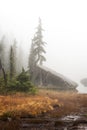 Cutthroat Lake in the fog.